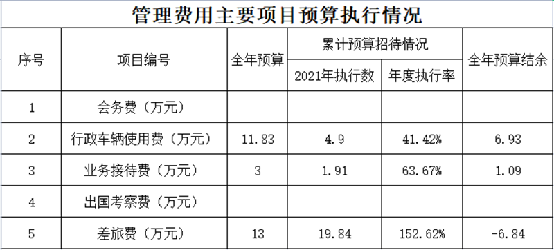 集團財務(wù)核算部2021年度管理費用主要項目預(yù)算執(zhí)行情況_副本.png